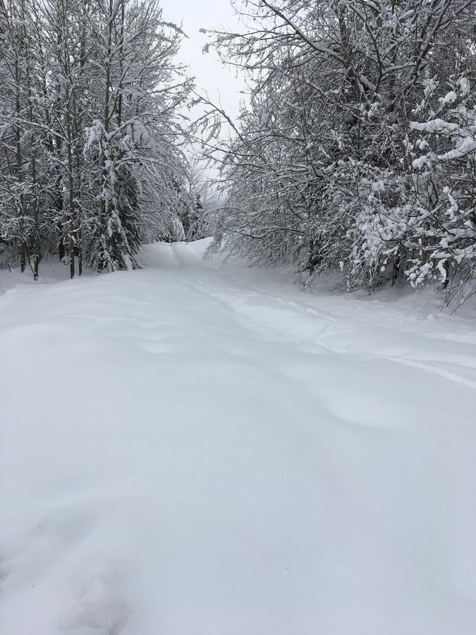 Auberge De Violaine Le Monetier-les-Bains ภายนอก รูปภาพ