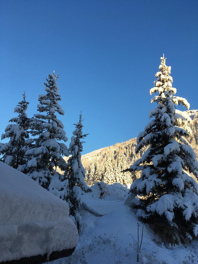 Auberge De Violaine Le Monetier-les-Bains ภายนอก รูปภาพ