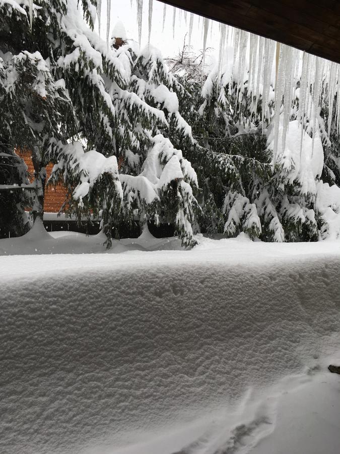 Auberge De Violaine Le Monetier-les-Bains ภายนอก รูปภาพ